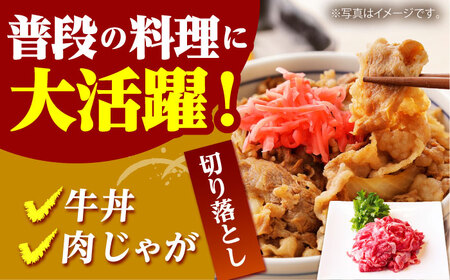 【全12回定期便】佐賀牛 A5 万能ストック3種セットB（切り落とし 1kg・ミンチ 600g・牛すじ 600g） HAD127  佐賀牛