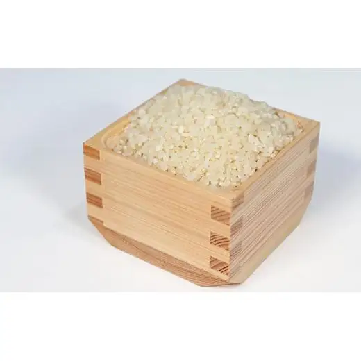 T rice Store 岐阜県産コシヒカリ 10kg 2025/9/19～