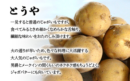 【先行予約】【訳あり】じゃがいも福袋20kg （2026年8月上旬～12月中旬まで順次お届け） 北海道森町産 野菜 ジャガイモ mr1-0145