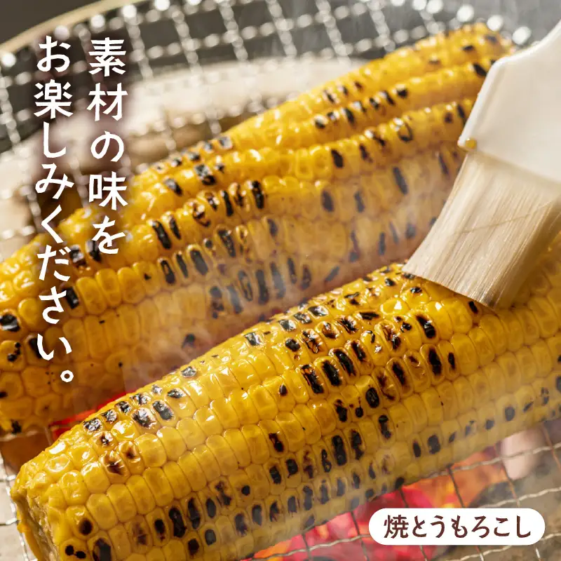 【先行予約】朝採り スイートコーン 黄色 計10本 おおもの ／ ハウス栽培 低農薬 有機肥料 フルーツ並みの甘さ 甘い とうもろこし 野菜 あわら ※2026年10月上旬より順次発送 [aw067-a003]