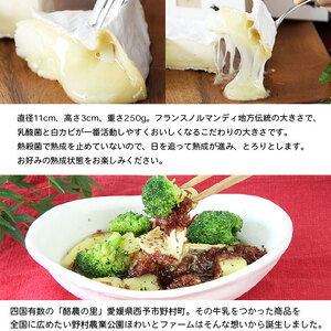 ほわいとファームのカマンベールチーズ「森のろまん」２個セット NHF0006