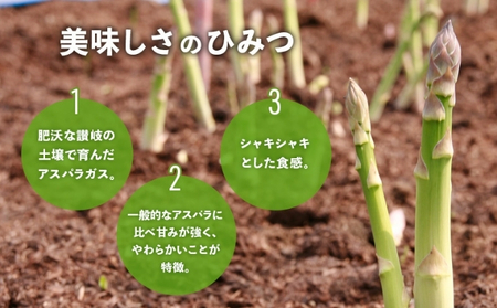 【2027年3月中旬以降発送予定】アスパラガス さぬきのめざめ 春芽 約1kg 香川県 丸亀市 アスパラ