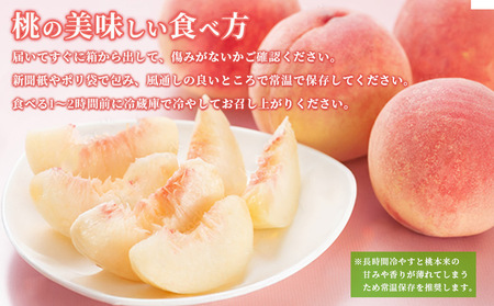 桃 約 2kg もも ピーチ 桃