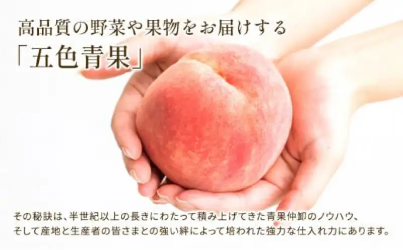 【2027年3月中旬以降発送予定】アスパラガス さぬきのめざめ  約1kg 3種セット 香川県 丸亀市 ホワイトアスパラ 紫アスパラ