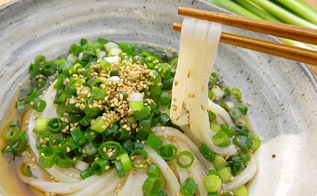 讃岐のネギうどん つゆセット 240g×6 ｳﾄﾞﾝｳﾄﾞﾝｳﾄﾞﾝｳﾄﾞﾝ