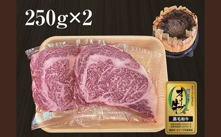国産 オリーブ牛 ステーキ 約500g バスクチーズケーキ セット 牛肉 チーズケーキ