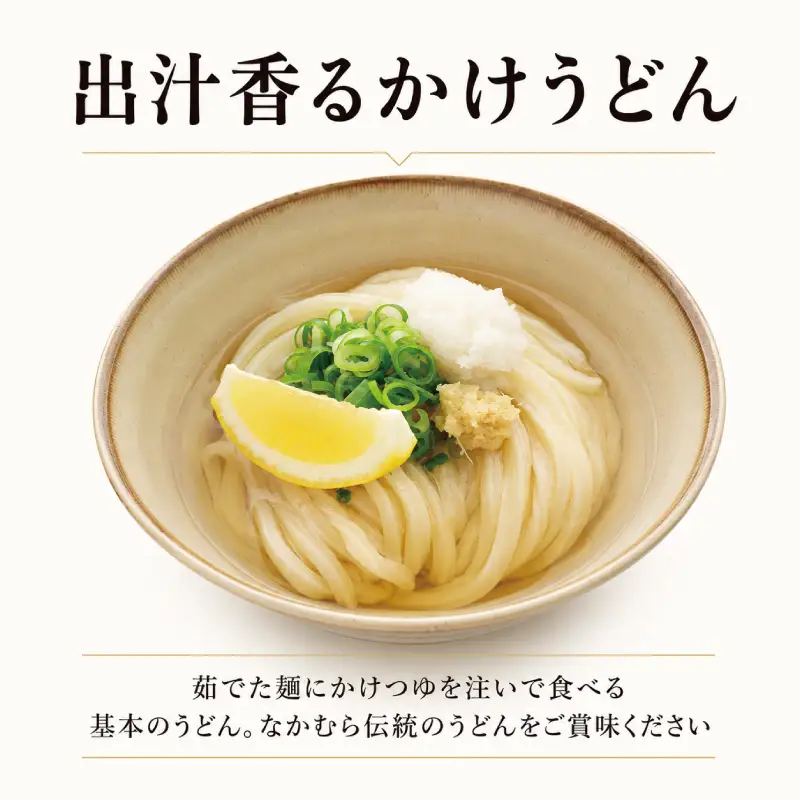 うどん 18食 さぬきうどん 醤油付き 半生 なかむら 人気 