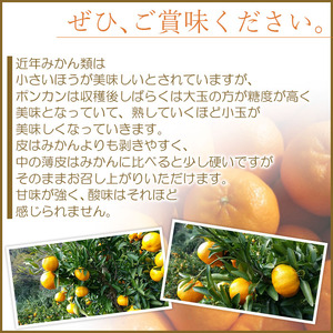 ＜愛媛県西予市産 ポンカン 約9kg 贈答用＞ 果物 くだもの フルーツ 蜜柑 ミカン 柑橘 ぽんかん 果実 果肉 ジューシー 特産品 美味しい おいしい 甘い ギフト 段畑みかん 愛媛県 西予市【常温】『2025年1月中旬～2月中旬迄に順次出荷予定』ADM0014