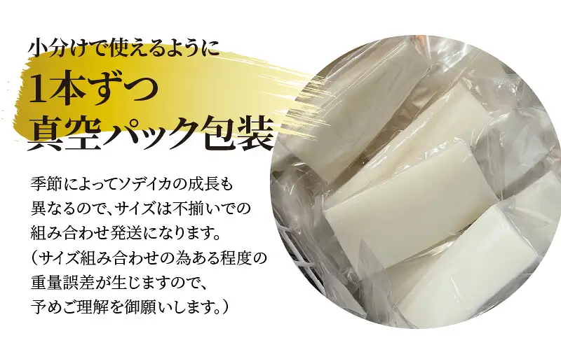 【 サイズ不揃い 】 ソデイカ ・ 刺身用ブロック 1kg/ 沖永良部島特産 W009-055u 魚 冷凍 イカ 加工品