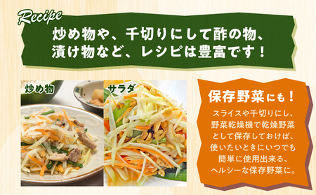 酵素たっぷり「 青パパイヤ 」3kg W009-065-01 惣菜