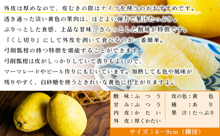 ＜無茶々園のひょう柑 約3kg＞ 【先行予約】果物 みかん ミカン 蜜柑 柑橘 フルーツ ひょうかん 弓削瓢柑 特産品 愛媛県 西予市【常温】『2027年4月～5月上旬迄に順次出荷予定』AMC0009
