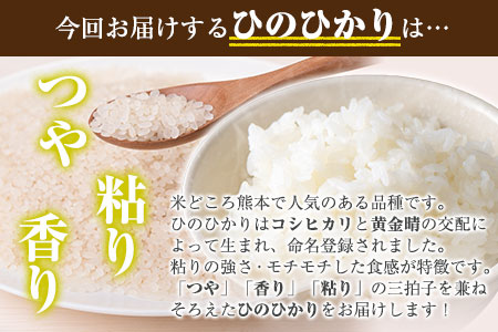 新米 令和6年産 ひのひかり 玄米20kg 熊本県荒尾市産 つゆくさ農園 《30日以内に出荷予定(土日祝除く)》 美味しい米 お米 熊本県産米 くまもと米 st-p