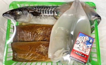 海の京都 橋立やまいち 干物セット 贈答用 B[ 一夜干し 桜干し ギフト ] 魚貝類 加工食品 鯖 サバ イカ  myz02 myz11 myz17