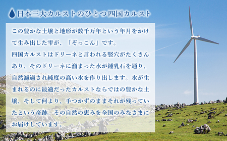 四国カルスト天然水ぞっこん 500ml(24本入り)×4ケース 計96本 NZS0011