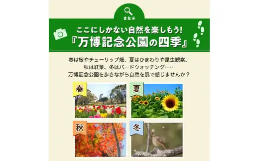万博記念公園特別利用券【万博オールパスポートコース】1年間入園無料