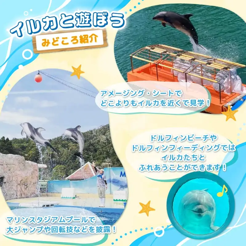 【下田海中水族館】ペア入場券 [水族館 イルカ]