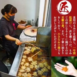 箕面名物！もみじの天ぷら(合計300g・60g×5袋)もみじ天ぷら お土産 土産 箕面 箕面市 大阪 銘菓 名物 箕面名物 紅葉 もみじ お取り寄せ 和菓子 洋菓子贈り物 贈答 プレゼント プチギフト ギフト 小分け【m27-01】【河鹿荘】