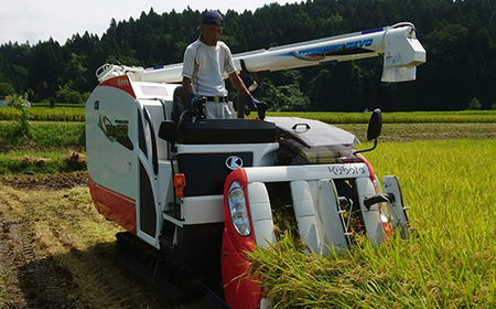 米 富山県立山町産 こしひかり 玄米 10kg×2袋 計20kg 横山ファーム 富山県 立山町 F6T-617