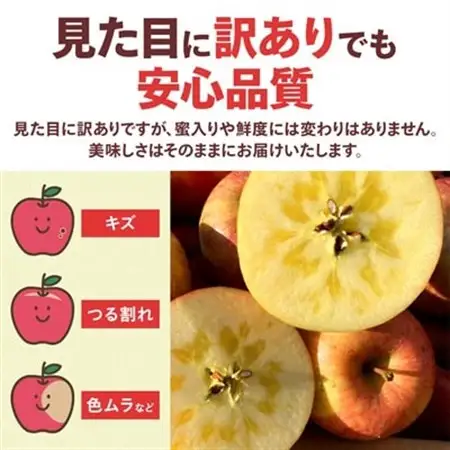 【訳あり】青森県産りんご「サンふじ家庭用」約5kg　産地直送!_果物・フルーツ りんご  リンゴ 林檎_【配送不可地域：離島】【1321109】