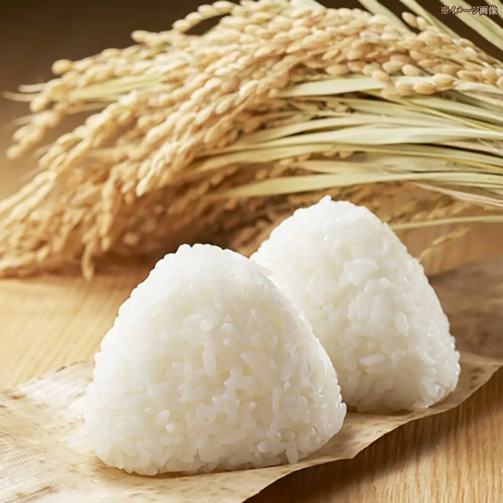 令和8年産 無洗米 高知県産ミルキークィーン 約2kg×6袋〈2027年7月31日まで発送〉/ 米 無洗米 令和6年産米  [ATBL001]