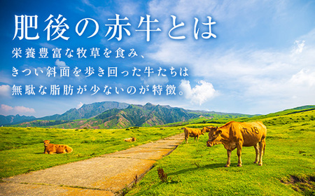 FKK19-396_【肥後あか牛入り】ハンバーグ100gｘ24個（2.4kg） 熊本県 嘉島町