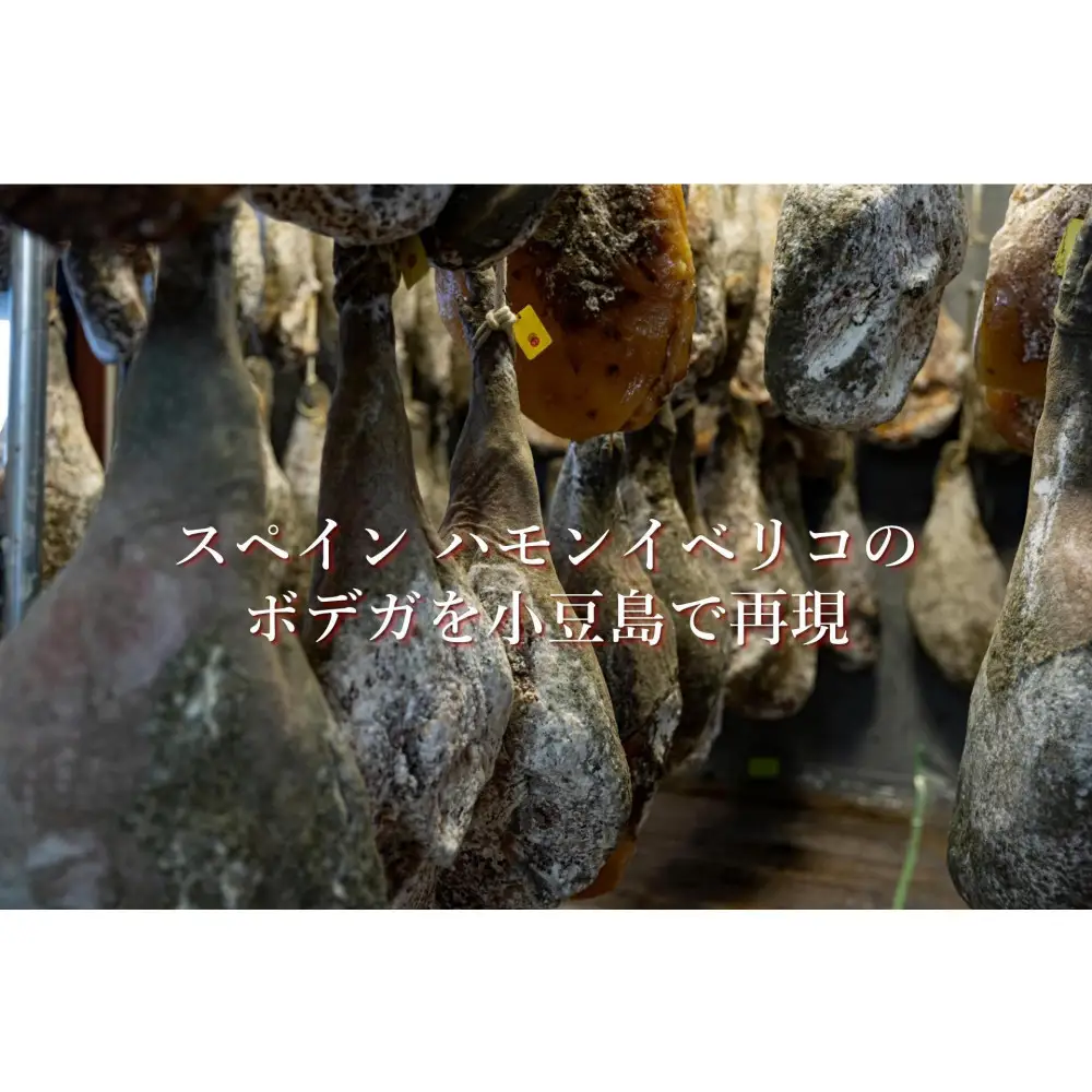 国産生ハム 小豆島発酵ハム 19か月以上発酵熟成【骨付き原木1本】6kg以上