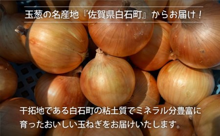 【2回定期便】5月6月発送 白石玉ねぎ 10kg / 玉ねぎ [IAW007]