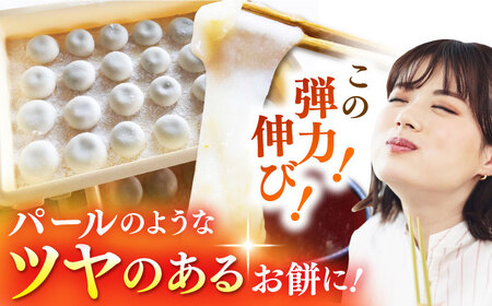 ヒヨクモチ 精米 5kg 【ももさき農産】 [HCG008] 餅 精米