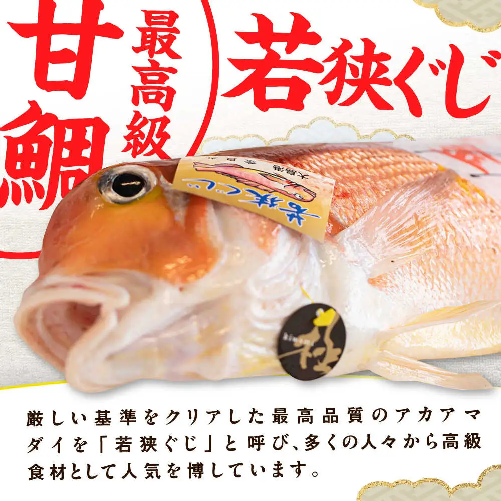【加福鮮魚】若狭ぐじ 一汐開き 1尾 800g　甘鯛 タイ アカアマダイ 焼き魚 高級 小浜市 / 加福鮮魚【配送不可地域：北海道・沖縄・離島】  [BFBC001] 