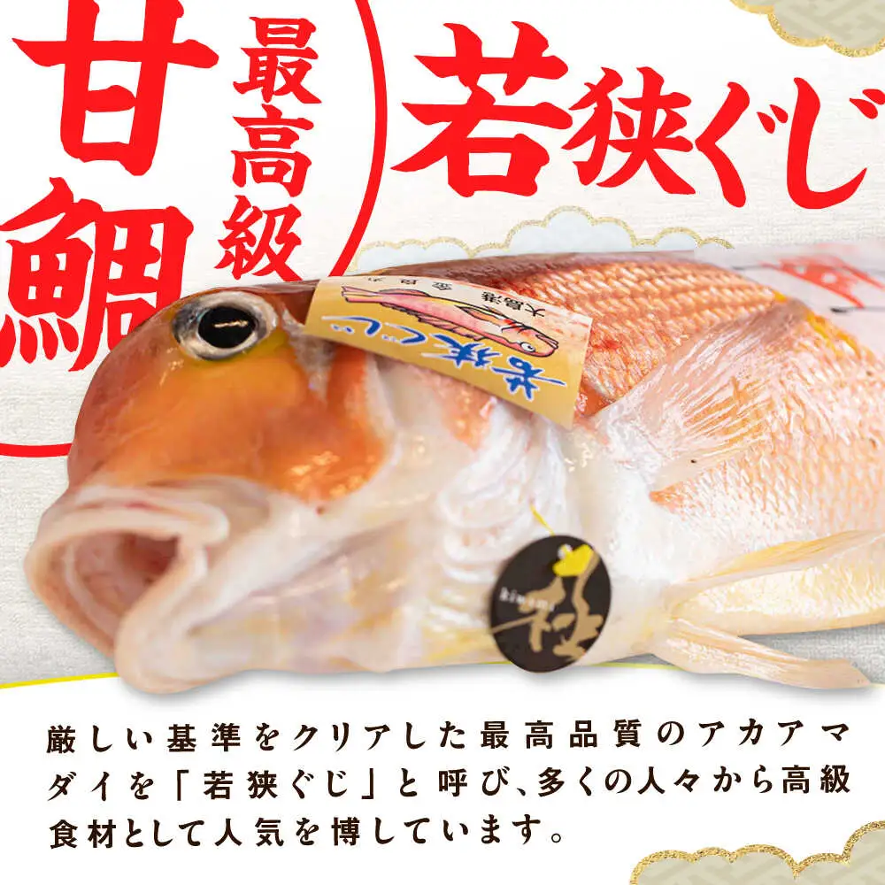 【加福鮮魚】若狭ぐじ 味噌漬け開き 1尾 800g 甘鯛 タイ アカアマダイ 高級  小浜市 / 加福鮮魚 【配送不可地域：北海道・沖縄・離島】 [BFBC002] 