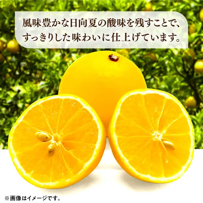 日向夏 ストレートジュース （720ml×2本）長与町/溝上農園  [EBY001]  日向夏 ひゅうがなつ ジュース オレンジジュース 果汁 100％ 国産 飲料 みかん ミカン 柑橘 先行予約
