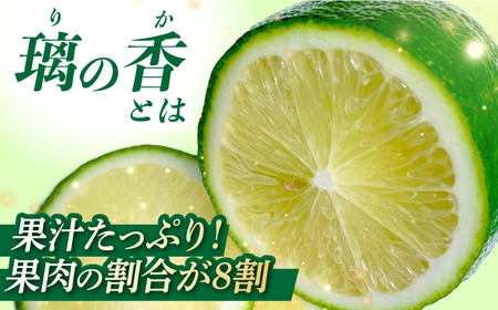 【長崎県長与町産】璃の香 （ りのか ） 約3kg レモン ー2026年8月下旬より発送ー 長与町/井上柑橘園 [EAA005]  りのか レモン 3kg フルーツ 果物 くだもの 果実 柑橘 檸檬 れもん 先行予約 レモンティ レモネード 国産 産地直送