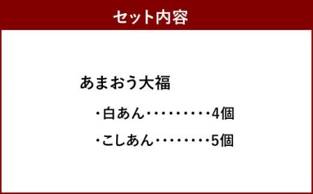 博多あまおう まるごと苺大福 セット 9個 (YF-MA)