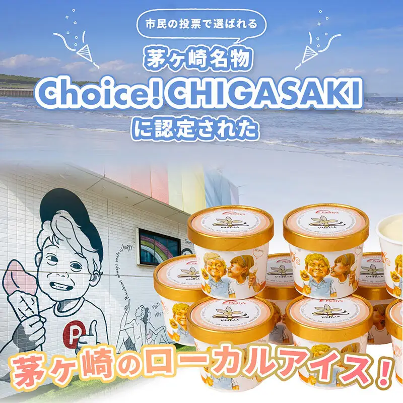 【ふるなびWEEK対象】【湘南茅ヶ崎の人気店】プレンティーズのアイスクリーム（バニラ10個） スイーツ 洋菓子 夏 おやつ デザート 手作り ひんやり 10個入