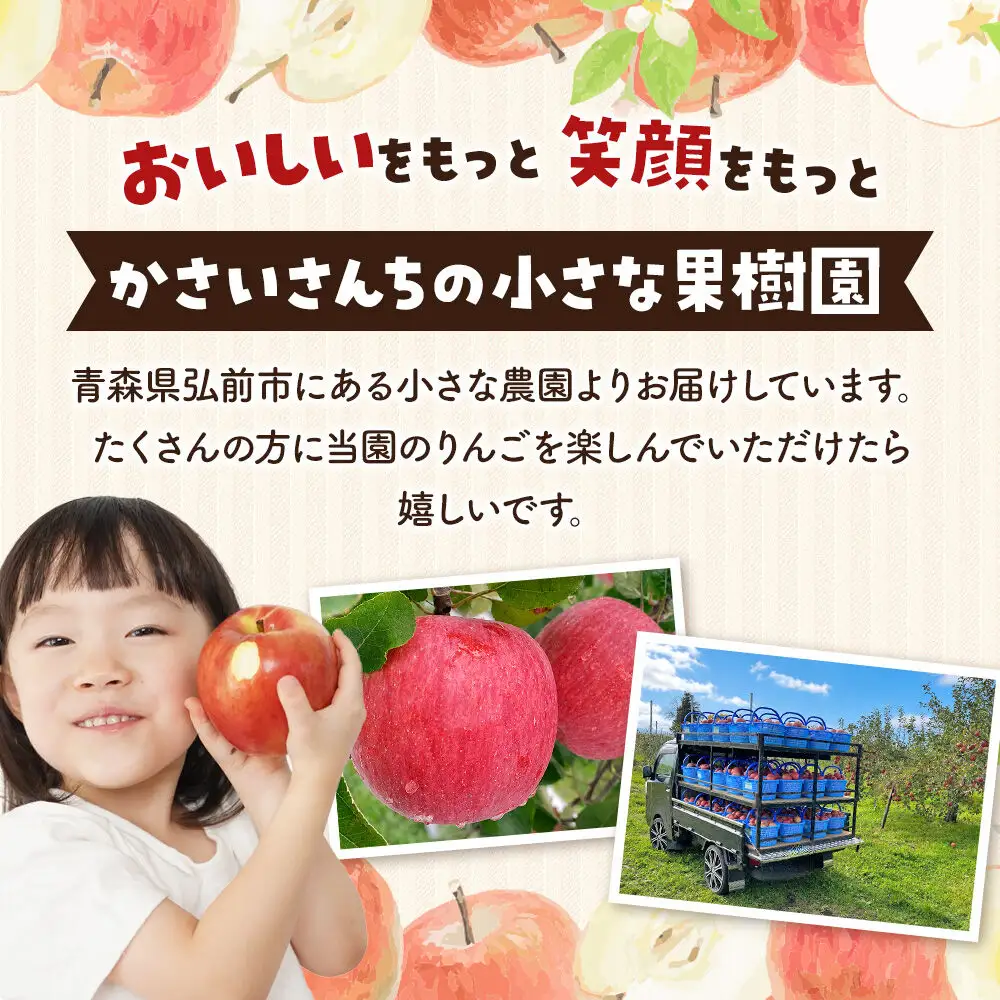 りんご サンふじ 約5kg 家庭用【11月下旬～発送】りんご