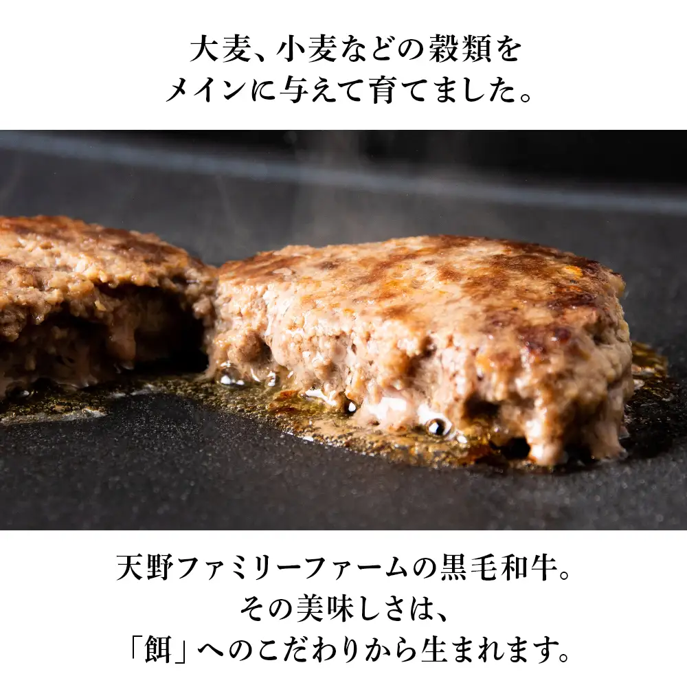 北海道 白老産 自家製 黒毛和牛 手ごね ハンバーグ 8枚セット BS002
