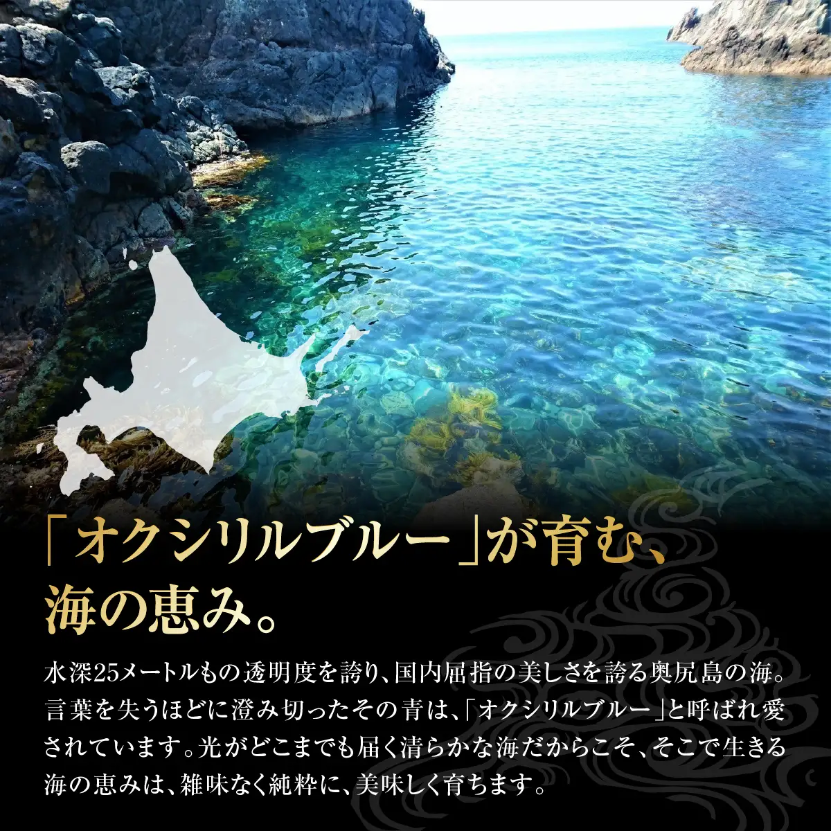 奥尻産 粒うに 2本セット