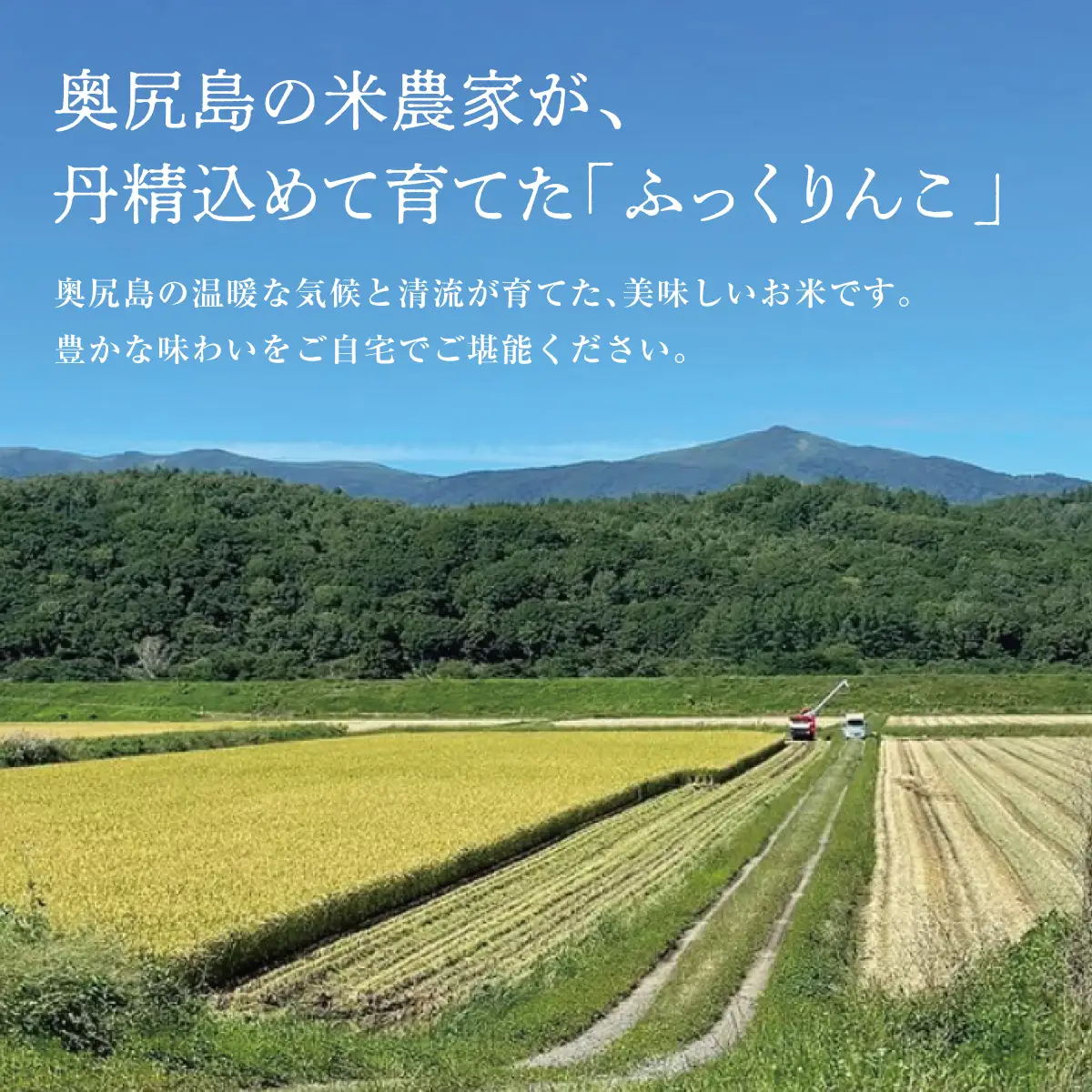 令和7年産 奥尻産米「ふっくりんこ」15kg入り