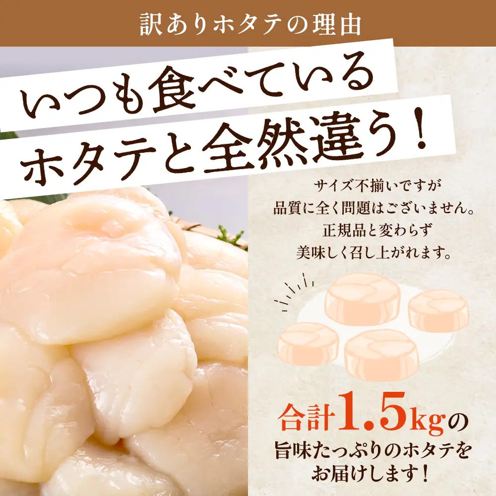 【訳ありホタテ】ホタテ貝柱 1.5kg 【AF】