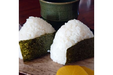 [令和6年度産]栃木県上三川町産コシヒカリ・白米 (10kg×2袋) ◆ | 国産 栃木県産 コシヒカリ 米 お米 単一原料米 精米 白米 栃木米 とちぎ米 産地直送 送料無料