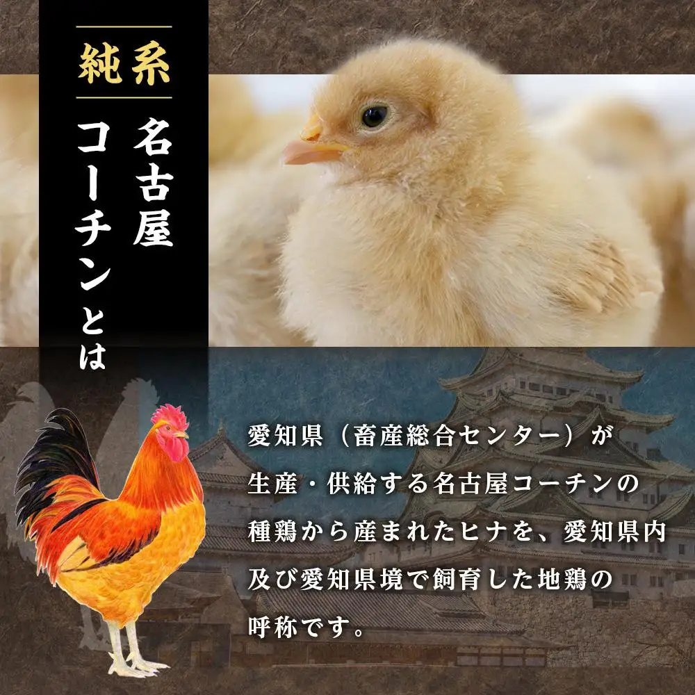 純系名古屋コーチン　焼き鳥バラエティーセット 焼き鳥 地鶏