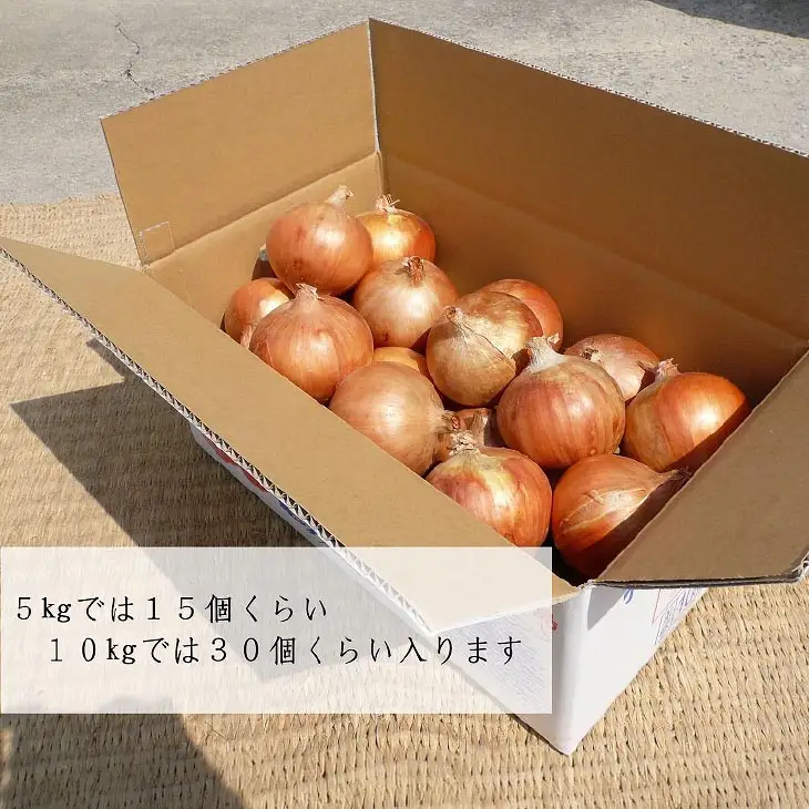 淡路島玉ねぎ（淡路玉三郎）3kg