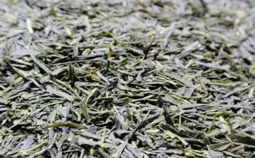 朝宮茶詰合せ（玉露・煎茶） (171476-40036840)