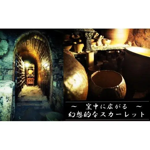 信楽焼 焼締＋淡海釉麺鉢 二個組