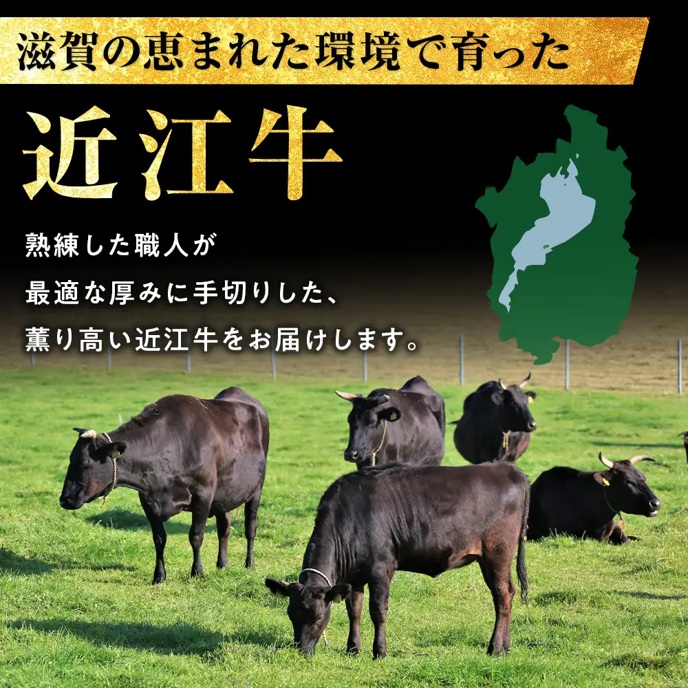 近江牛ヒレステーキ 750g（4～5枚）