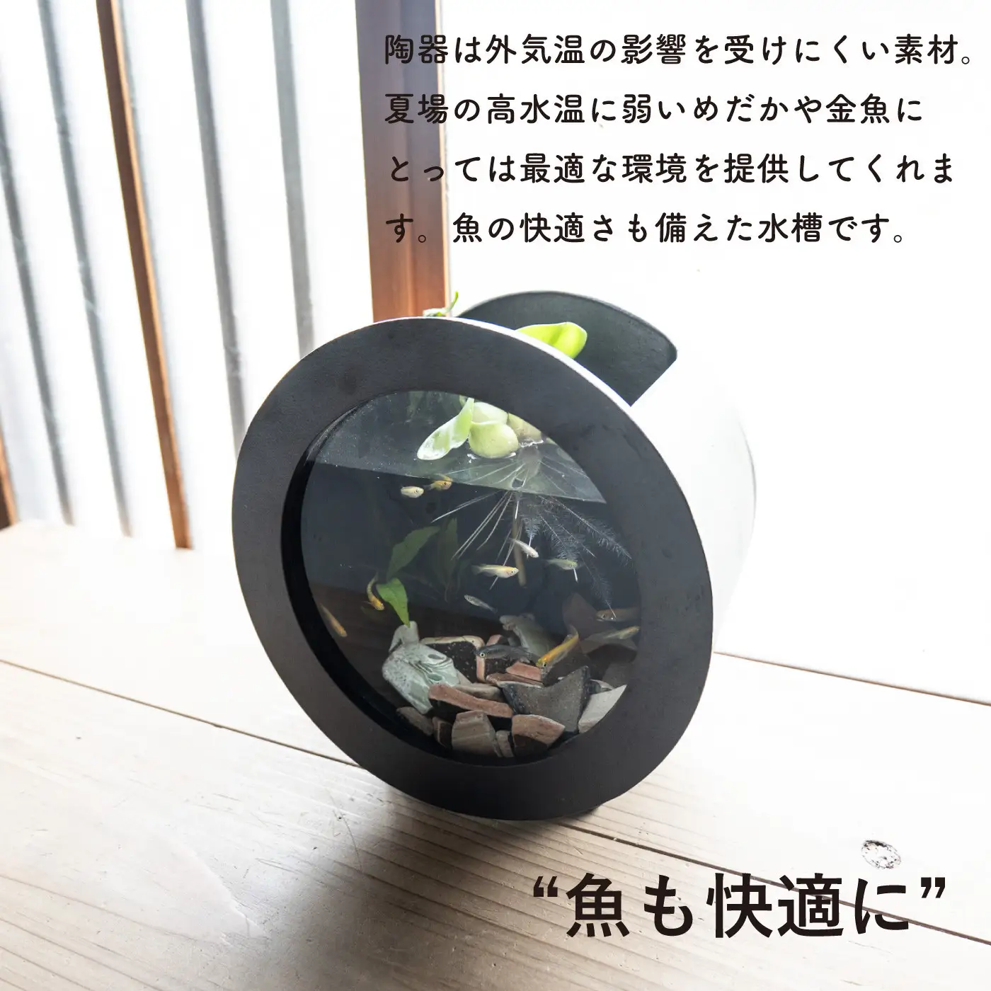 【信楽焼・明山】丸水槽・中（黒）aqua-01s (176777-40037144)