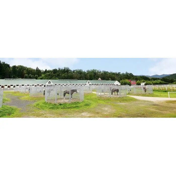 乗馬体験ご優待券 (168542-40037404)