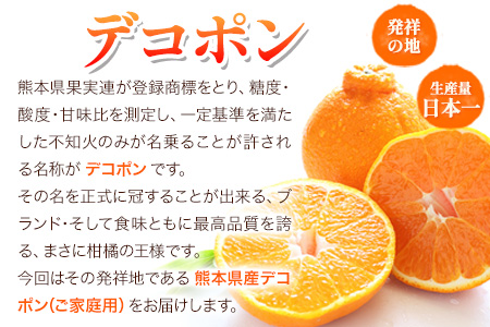 先行予約 デコポン 訳あり デコポン 約 5kg 前後(約12-24玉前後)  《2月上旬-4月上旬頃出荷)》不知火と同品種 フルーツ 果物 みかん 柑橘