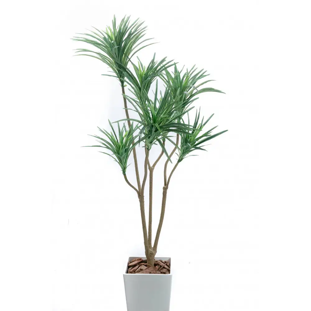 人工観葉植物　青年の樹ユッカ７本枝　白樹脂鉢Lサイズ付