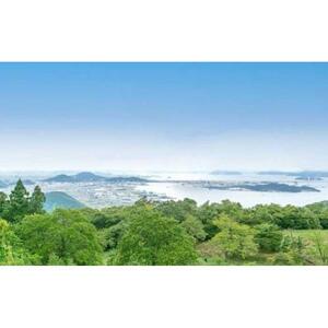 香川の銘石 サヌカイト チャイム×1個
